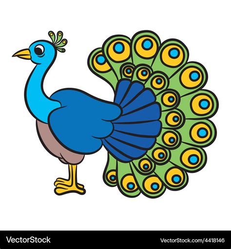 peacock vector